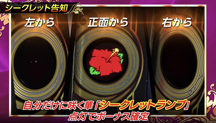 シークレットハイビスカス スロット新台