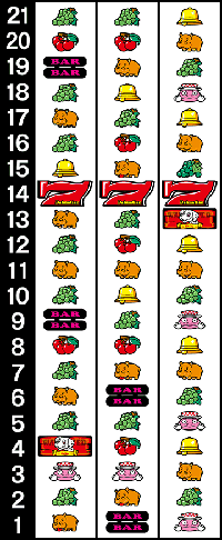 ハイカ101　リール配列