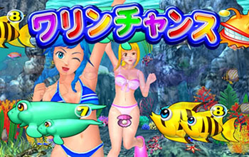 ワリンチャンス