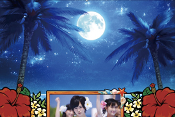 夜は大チャンス