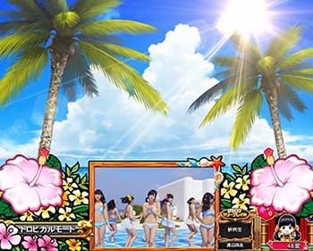 ハイビスカス点灯