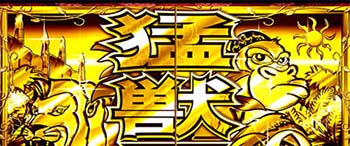 導入時のシャッター