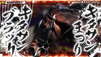 実写カットイン