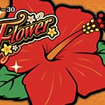 マイフラワー30 スロット新台 スペック シナリオ 設定判別 打ち方