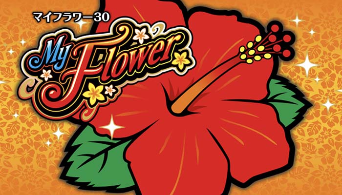 マイフラワー30