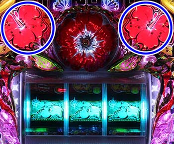 パネルハイビスカス