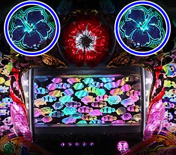 スペシャル魚群タイム