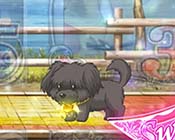 金ハートの子犬