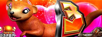 カウントダウン マングース