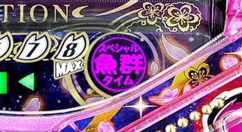 スペシャル魚群タイムランプ