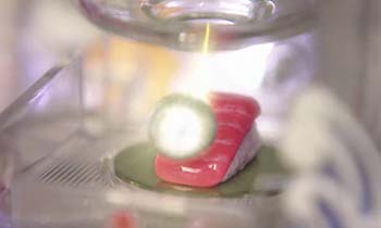 大トロギミック