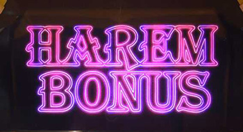 ハーレムボーナス