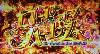 ロードオブハーレム