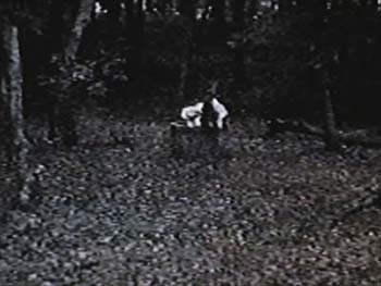 ロングフリーズ