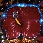 パチンコデカビスカス