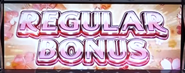 REGULAR BONUS