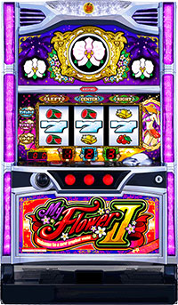 マイフラワー2_筐体