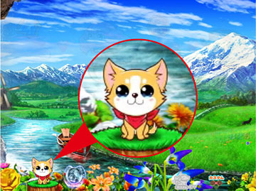 チワワ常駐予告