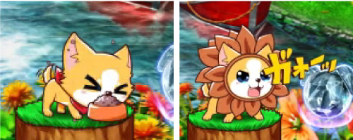 チワワ常駐予告_アクション