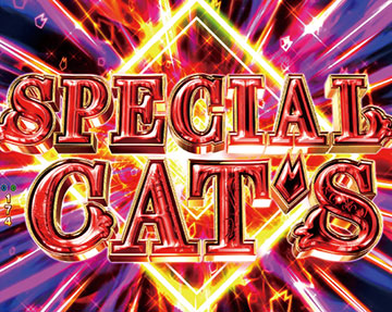 キャッツSPリーチ