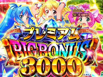 プレミアムBIGボーナス3000