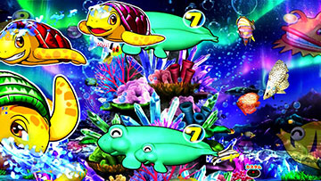 カメ登場後のアクション