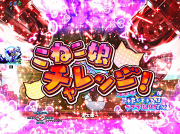 こねこ娘チャレンジ