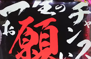 一生のお願いチャンス