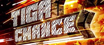 ティガチャンス ゼブラ柄