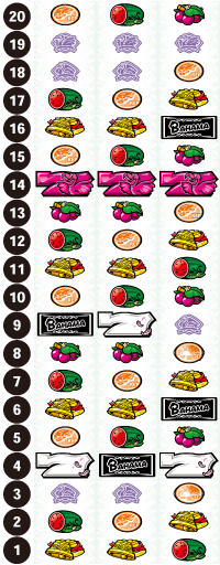 Sバハマ30_リール