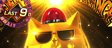 グルービードリームチャンス