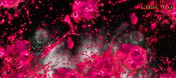 ゾンビ消灯演出