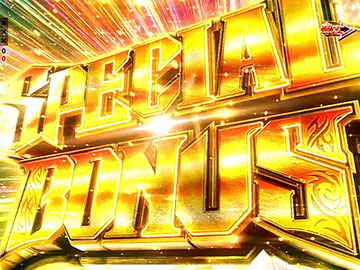 スペシャルボーナス