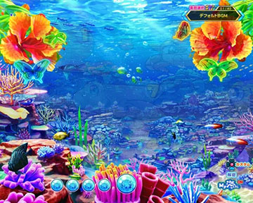 美らビスカスタム