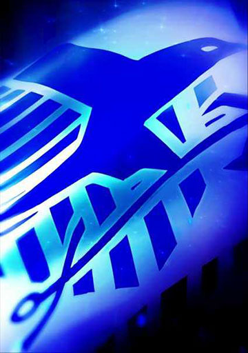 ユニオンフラッシュ