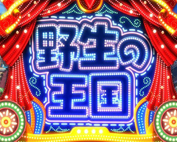 エレクトリカルリーチ