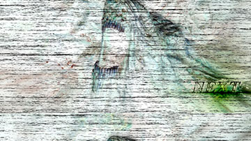 FATE OR FORTUNE_ネガポジ