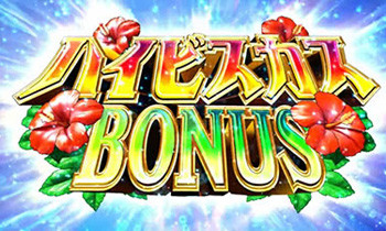 ハイビスカスボーナス