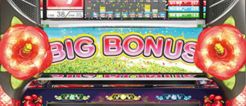 ハイビスカス・特殊点滅