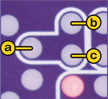真田・電チューランプ