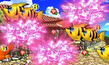 チャンス目予告