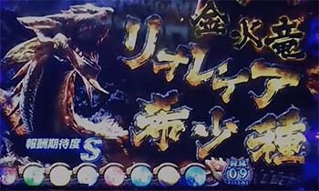 リオレイア希少種