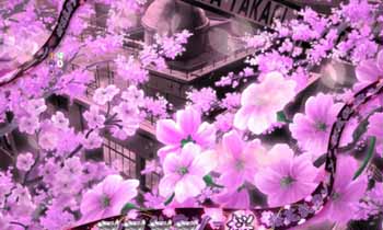 桜花乱舞ゾーン
