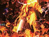 獣の槍ぶっ刺さり